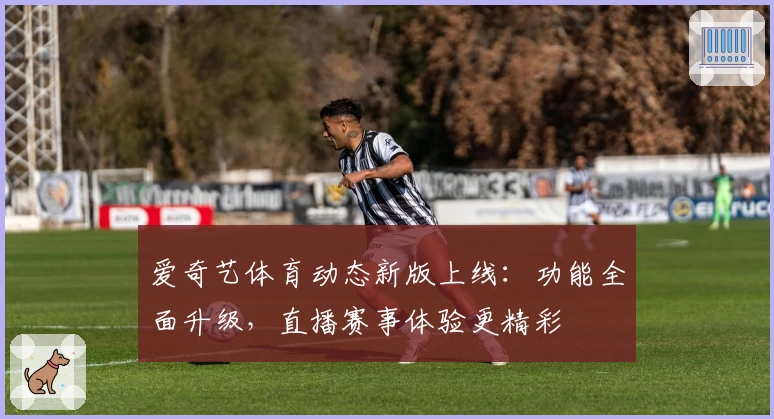 爱奇艺体育动态新版上线:功能全面升级,直播赛事体验更精彩