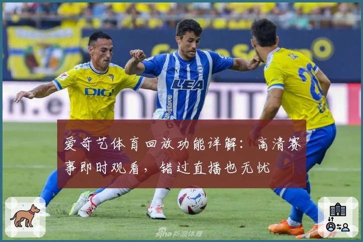 爱奇艺体育回放功能详解：高清赛事即时观看，错过直播也无忧